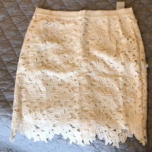 Loft pencil skirt. NWT size 6p